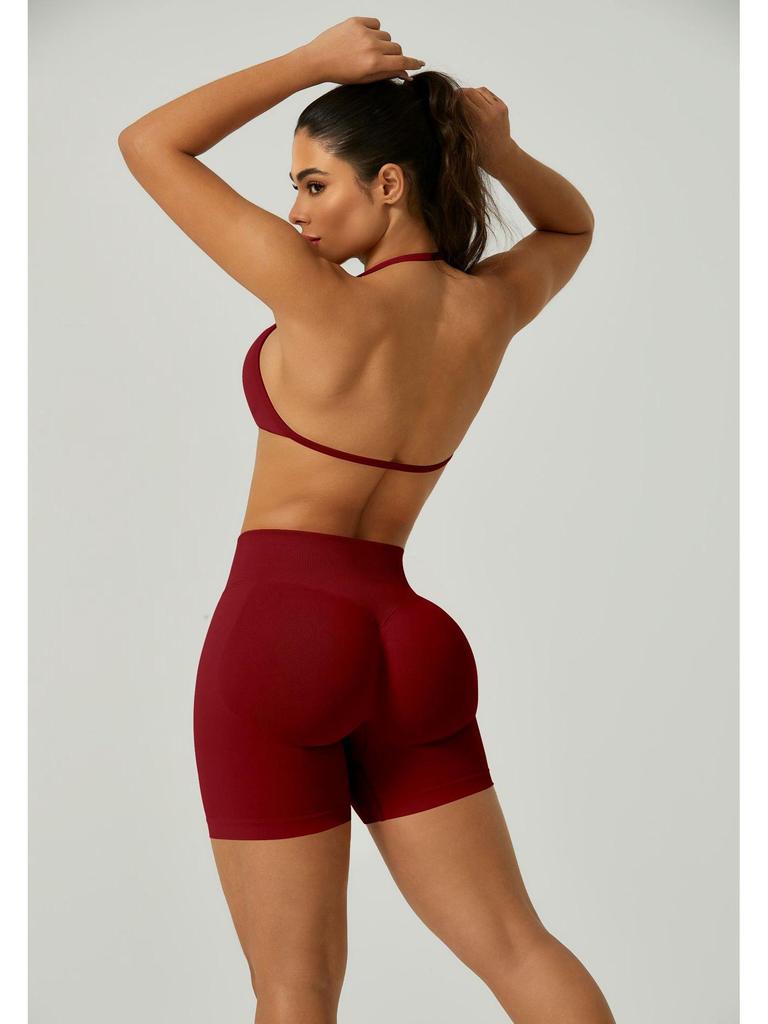 European Halter Neck Seamless Yoga Bra: Sexy, High Elasticity, Matte Finish, Beautiful Back Design