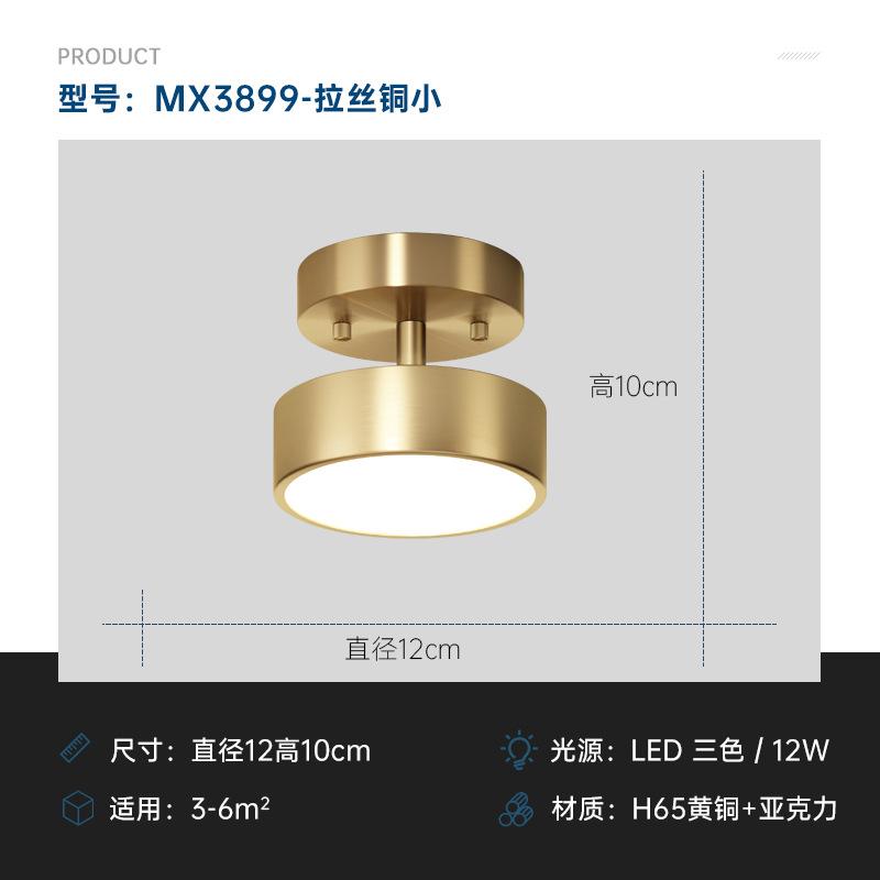 

Nordic LED Ceiling Lamp Indoor Lighting For Home Aisle Balcony Hallway Entrance Cloakroom Living Room Decoration Ceiling Light 3 Light colors