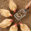 Heavy Duty Stainless Steel Chicken Manures Shovel for Easy Cleaning of Poultry Coops with Ergonomic Handle