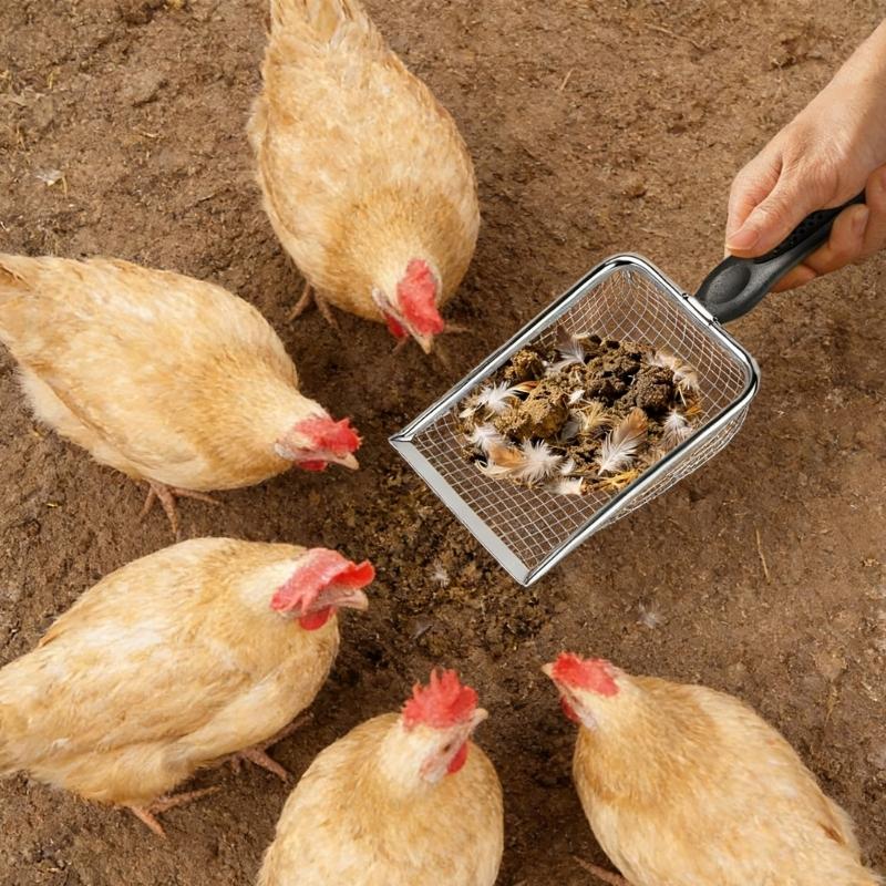 Heavy Duty Stainless Steel Chicken Manures Shovel for Easy Cleaning of Poultry Coops with Ergonomic Handle