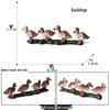 Realistic Farm Animal Models: Big Yellow Duck, Rooster, Turkey, Goose, and Swan