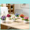 Mini Artificial Jasmine Bonsai Plant With Soft Plastic Leaves For Home Decor And Photography Props