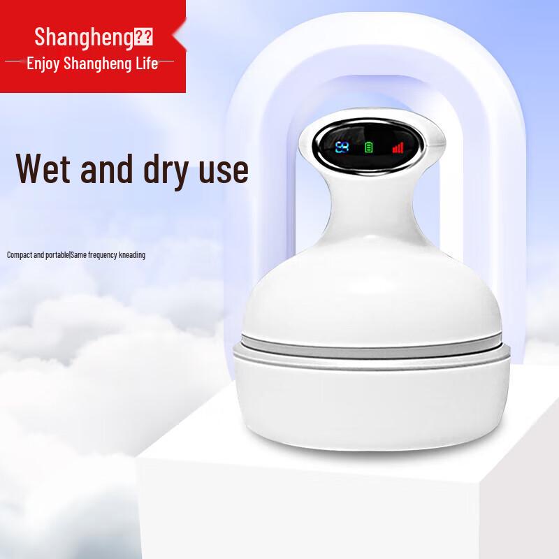 

Shangheng Electric Scalp Massager