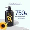 Rejoice Daily Care Sunflower Shampoo 750g