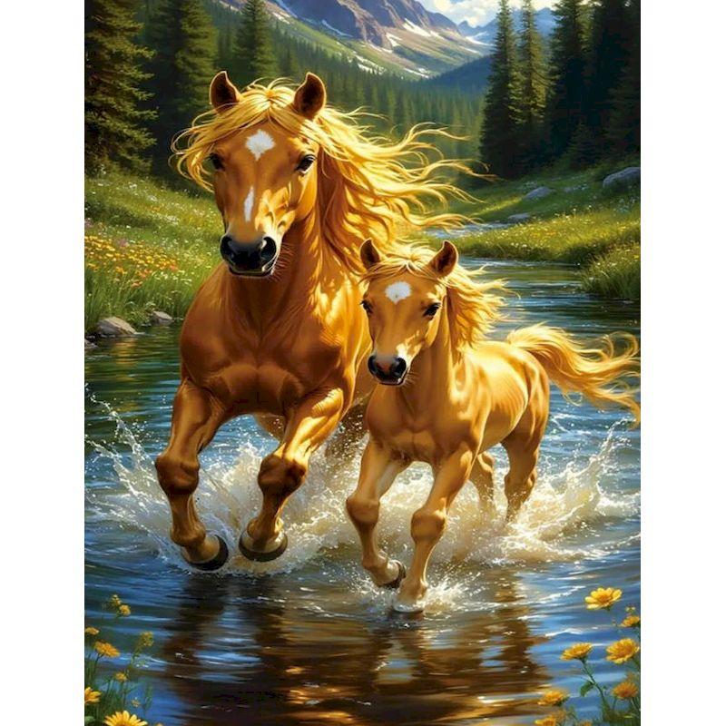 

GATYZTORY Horse Painting By Numbers Wall Decor Pictures By Numbers Animal Painting Numbers Picture Picture On Numbers 30x20cm no frame