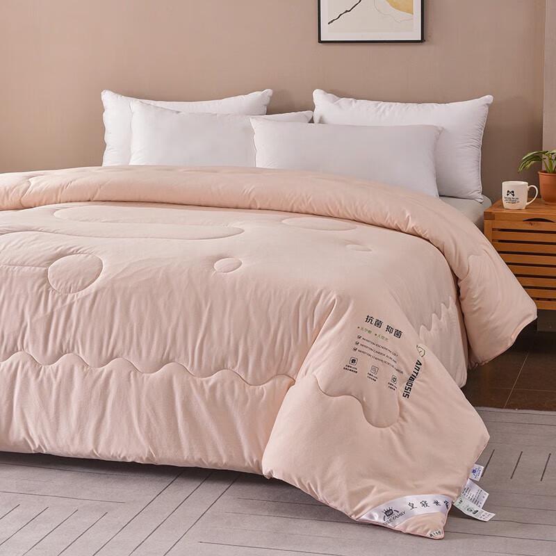 Soybean Fiber Warm Winter Quilt