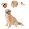 Lifelike Dog Sculpture Animal Figurine Crafts Toy Decorative Animals Action Figure Miniature
