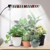 JCBritw 50W Plant Grow Light with Stand, White Full-Spectrum LED Plant Light, Suitable for Indoor Cultivation, Seedling Cultivation, Flowering Plants,