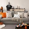 2Pcs Halloween Throw Pillow Cases Wear Resist Faux Fleece Cushion Cover Decorative Cushion Cover for Living Room Bedroom Sofa