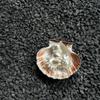 Bohemian Thorn Design Ring White Resin Starfish Shell Creative Seaside Jewelry for Women Daily Casual Wear