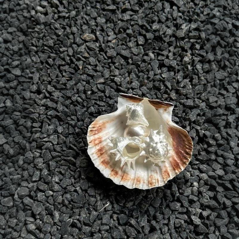 Bohemian Thorn Design Ring White Resin Starfish Shell Creative Seaside Jewelry for Women Daily Casual Wear