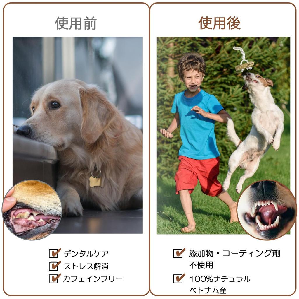 BETO PET Jucărie de mestecat pentru câini Arbore de cafea cu bumbac dublu Jucărie educativă Arbore de cafea Curățarea dinților Stresului Natural Lemn de cafea Natural Fabricat din bumbac