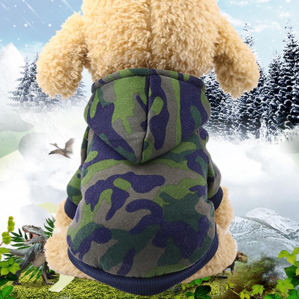 Autumn and winter dog fleece sweater trendy brand two feet sports wind pet dog dog cat clothes outdoor products
