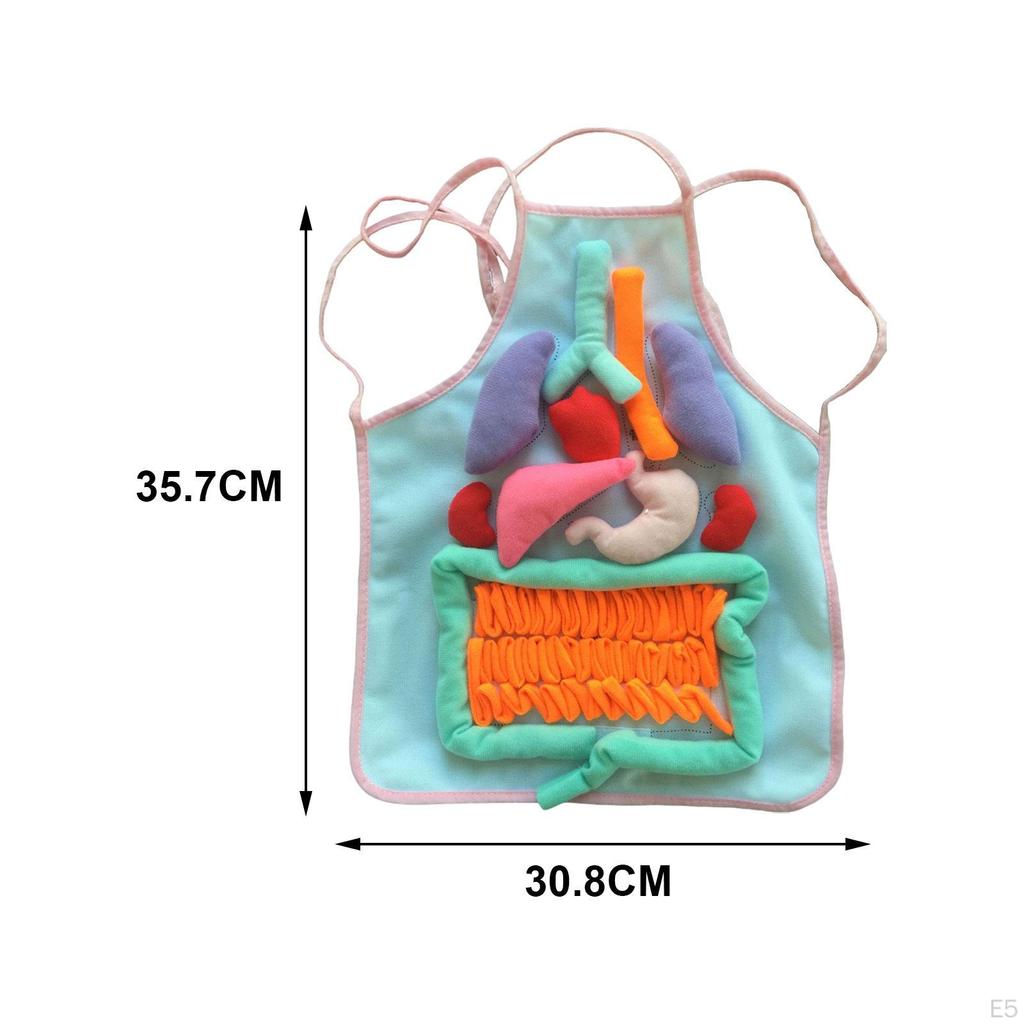 3D Organ Apron Aprons for Kid Awareness Montessori Pretend Play Human Body Model Children