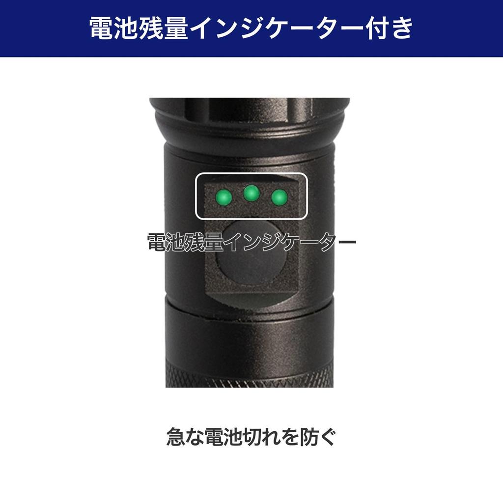 ELPA DOP-EP560 LED Flashlight, Waterproof, 650 Lumens, with Hand Strap, Battery Operated, Battery Level Indicator, Silver