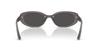 sunglasses 0RB4441D TRANSPARENT DARK GREY 53mm Asian Fit Ray-Ban