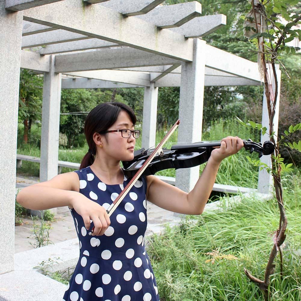 4/4 Solid Wood Beginner Violin Set for Adults and Children