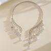 Shining Bridal Tassel Necklaces Crystal Neck Chain Choker Water Drop Rhinestone Jewelry  Women