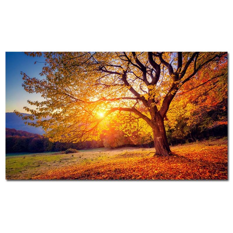 

Золотое дерево закат опавшие листья осенний пейзаж холст картины постеры и принты настенная живопись для гостиной домашний декор 50X100cm no frame горько