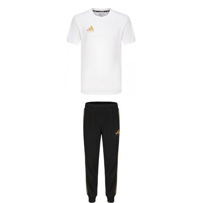 Taekwondo Round Neck Pullover Simple Short Sleeve T-Shirt Fashion Striped Long Pants Casual Sports Suit Unisex Suit ADICLTS24CTKP-WG+TR30P1T-BG