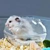 1Pcs Hamster Toilet Cage Box Bathroom Transparent Hamster Sand Bath Mouse Room Guinea Pig Cage Hamster Accessories Small Animals