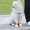 20pcs Elastic Bandage Dog Paw Protection Waterproof Pet Boots Shoes New Disposable Pet Shoes  Pet