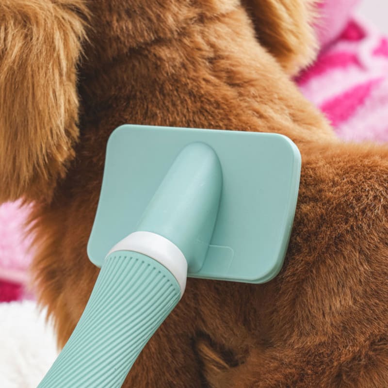 [Evcil Hayvan] Temel Kaygan Fırça Yeşil