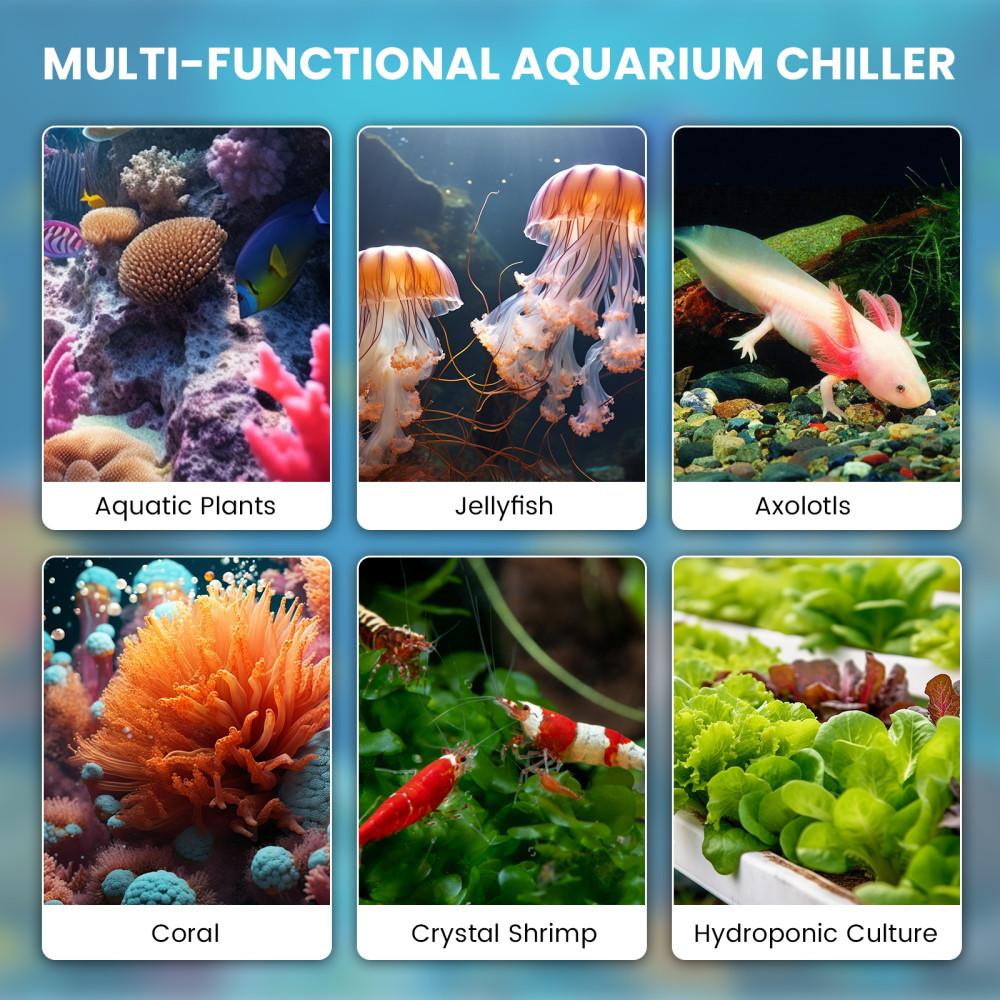 79 Gal Aquarium Chiller Water Chiller Fish Tank Household Small Constant Temperature Device High-efficiency Low Noise Cooler