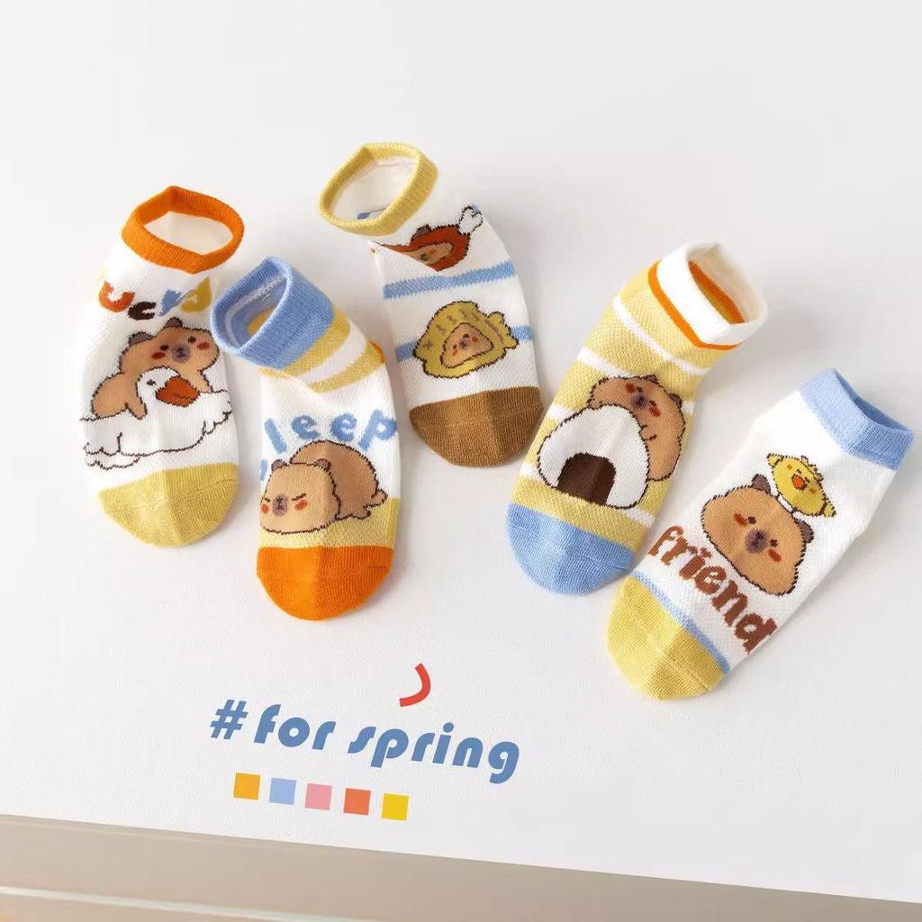 Kids' Spring and Summer Mesh Breathable Capybara Socks
