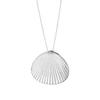 Banyan Tree S925 Silver Shell Necklace for Women - High-End Niche Blogger Design by Meilong