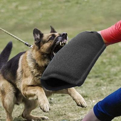Köpek Isırık Kolu Köpek Eğitimi Kol Koruma Kolu Yavru Köpek Genç Köpekler Dolgulu Isırma Oynama Çekiştirme Oyuncağı Büyük Köpekler için