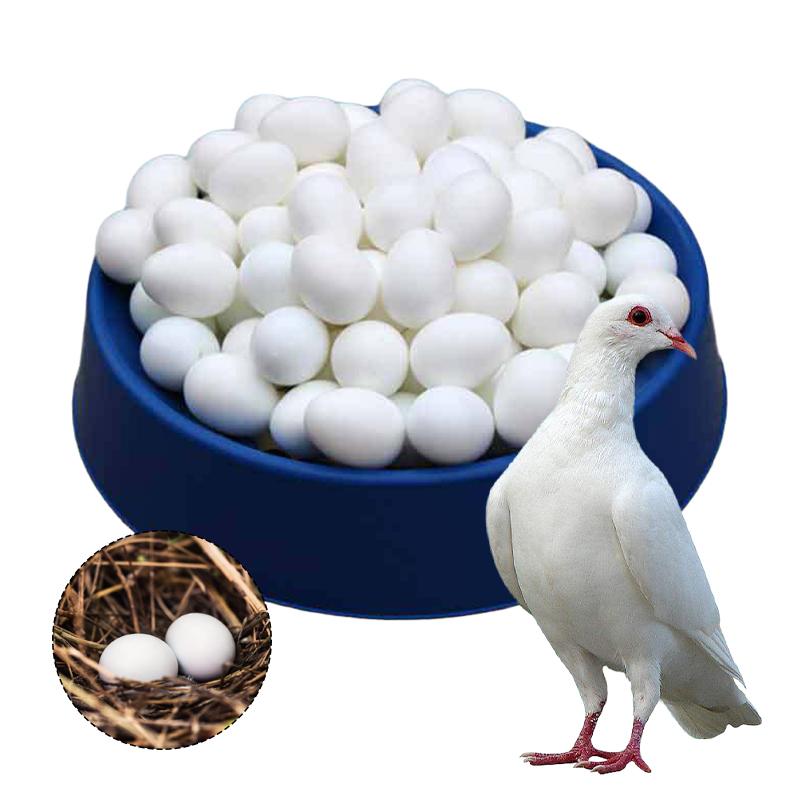50/20/10pcs Simulated Pigeon Eggs Filled Solid Plastic Simulated Fake Eggs Racing Pigeon Hatching Supplies Bird Breeding Tools