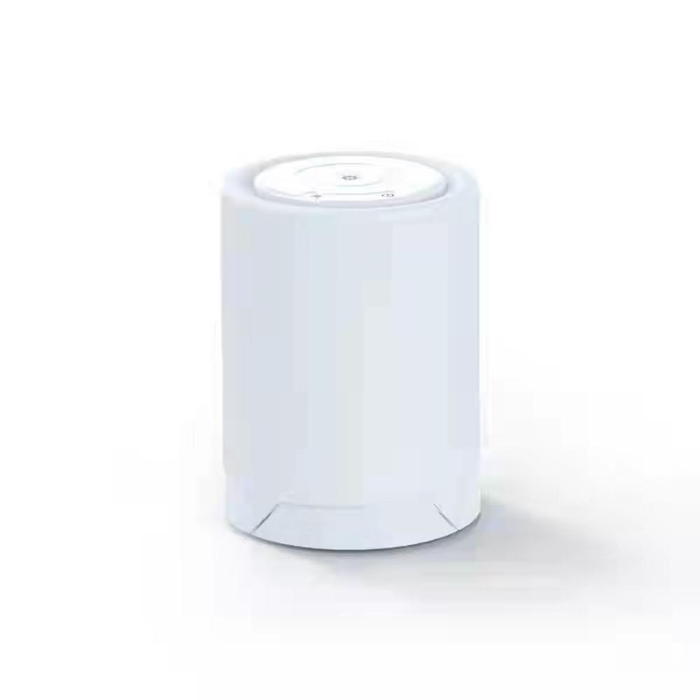 Rechargeable