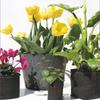 Versatile Fabric Root Pots Smart Plant Grow Pot Bags With Large Capacity For Thriving Plants