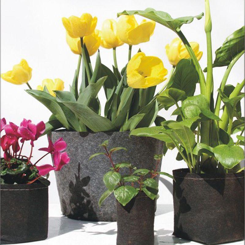 Versatile Fabric Root Pots Smart Plant Grow Pot Bags With Large Capacity For Thriving Plants