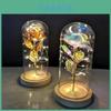 Eternal Rose Flower In Glass Led Light Romantic Valentine's Day Gift
