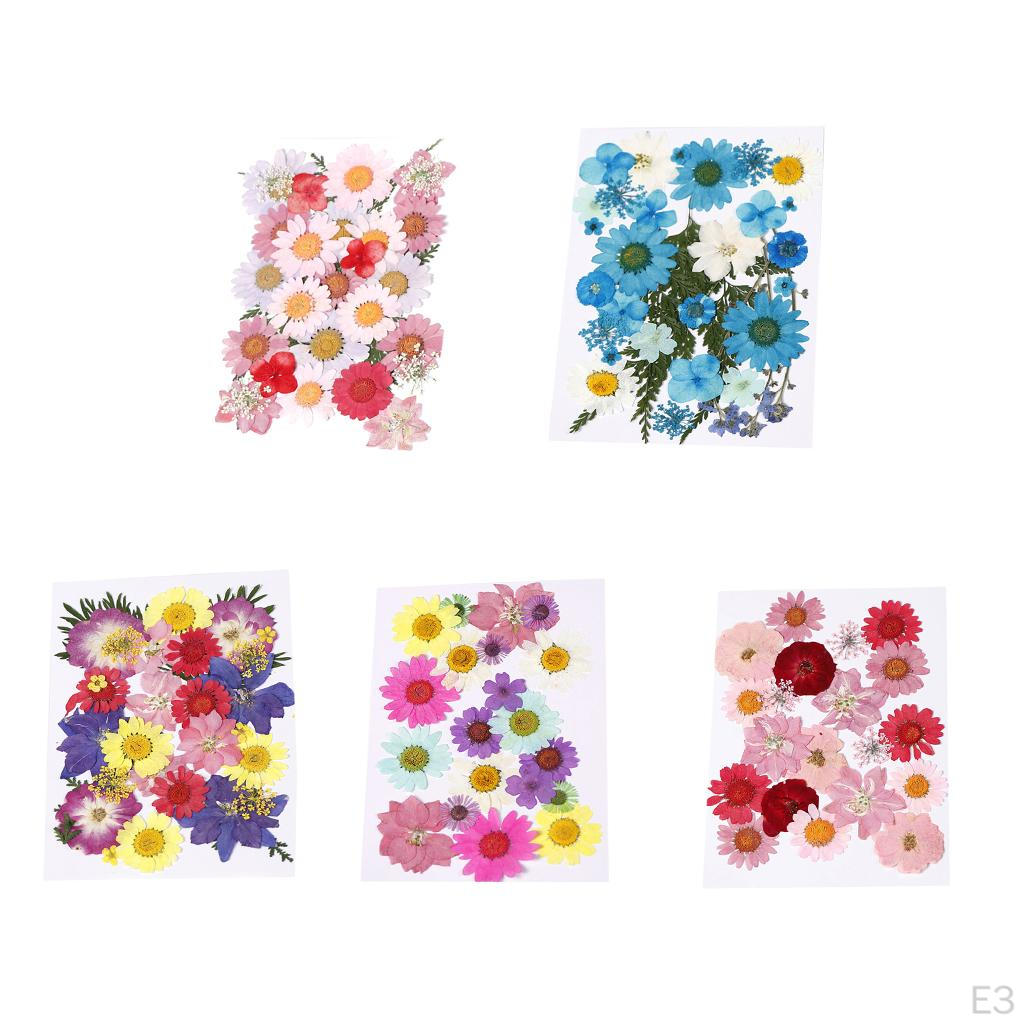 Dried Flowers DIY Decorative for Resin Jewelry Making Crafts Nail Stickers