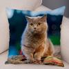 Cute Pet Animal Print Pillowcase Funny  Cat  Decoration Car Sofa Home Cushion Cover