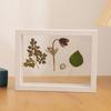 Transparent Double-Sided Glass Photo Frame for Dried Flowers and Leaves