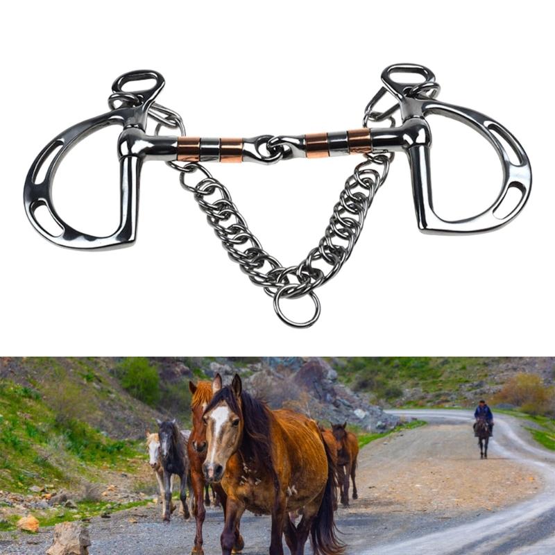 Secure Double Chain Equestrians Bit Stainless Steel Construction for Weatherproofed Horse Training Accessories