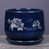 Large Ceramic Flower Pot with Tray for Indoor Greenery and Cliviaouse