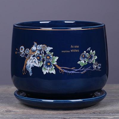 Large Ceramic Flower Pot with Tray for Indoor Greenery and Cliviaouse