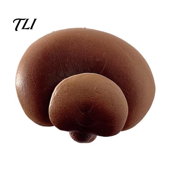 Nature Inspired Magnet 3D Mushroom Refrigerator Magnet, Resin Fake Decorative Kitchen Magnets Photo Notes Holder for Whiteboard Cabinet