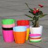 3 Kinds of Sizes  Flower Pots and Trays,Plastic Pots,Creative Small Pots for Succulent Plants  (Random Color)