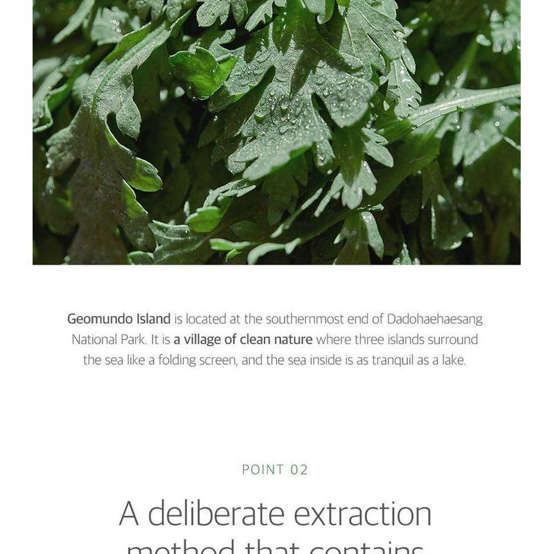 ROUND LAB - Mugwort Calming Serum