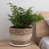 Decoration Indoor Outdoor Handicraft Flower Pots Plant Basket Plant Containers Planting Accessory