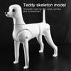 Fenice Animale Domestico Simulazione Toelettatura Cane Finto Modello Cane Modello Scheletrico Standard Cane Corpo Intero Pelo Finto