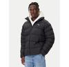Winter Jacket Mono 688370 01, Black, Standard Fit
