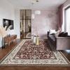 Area Rugs for Living Room, Machine Washable Vintage Rug, Non-Slip Low Pile Throw Rugs with Rubber Backing Washable Carpet