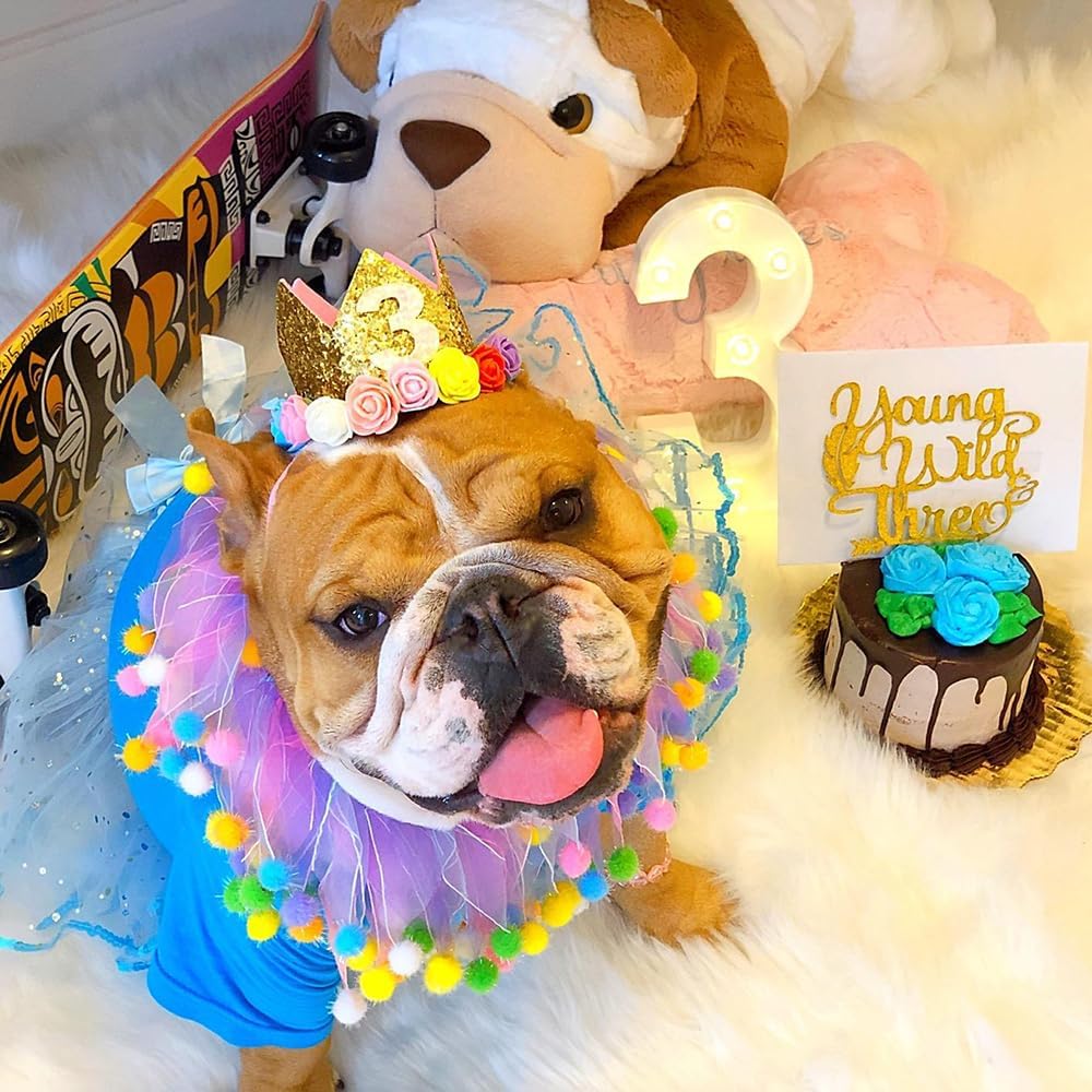 Baby Princess Glitter Gold Crown, 2st Birthday Party Hat Gold with Mix Rainbow Color Flowers